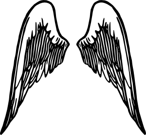 300x277 This Reminds Me Of Victoria's Secret Pink Because They Have Wings