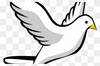 320x211 Free Png Download Flying Bird Line Drawing Png Images