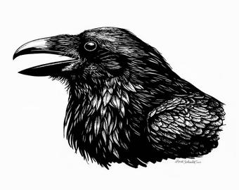 340x270 Pen And Ink Bird Etsy