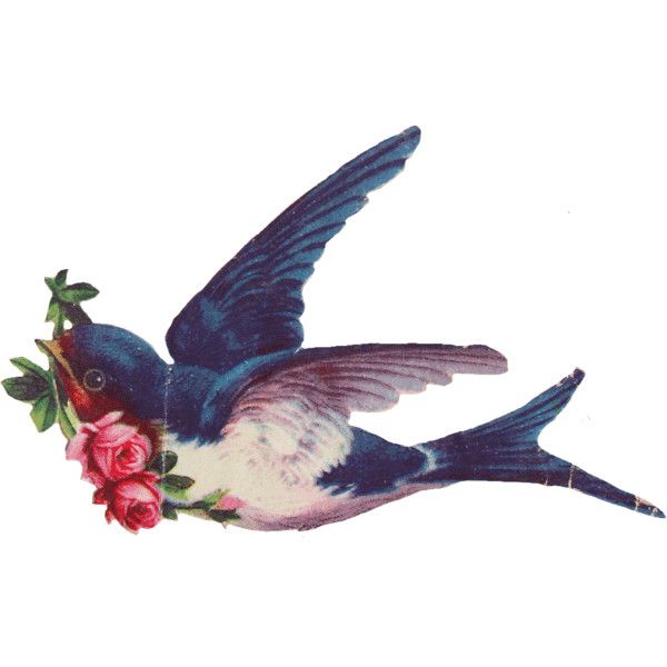 600x600 Sentimentalia