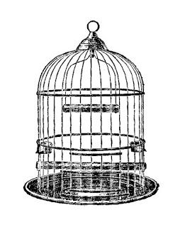261x320 Bird Cage Illustration