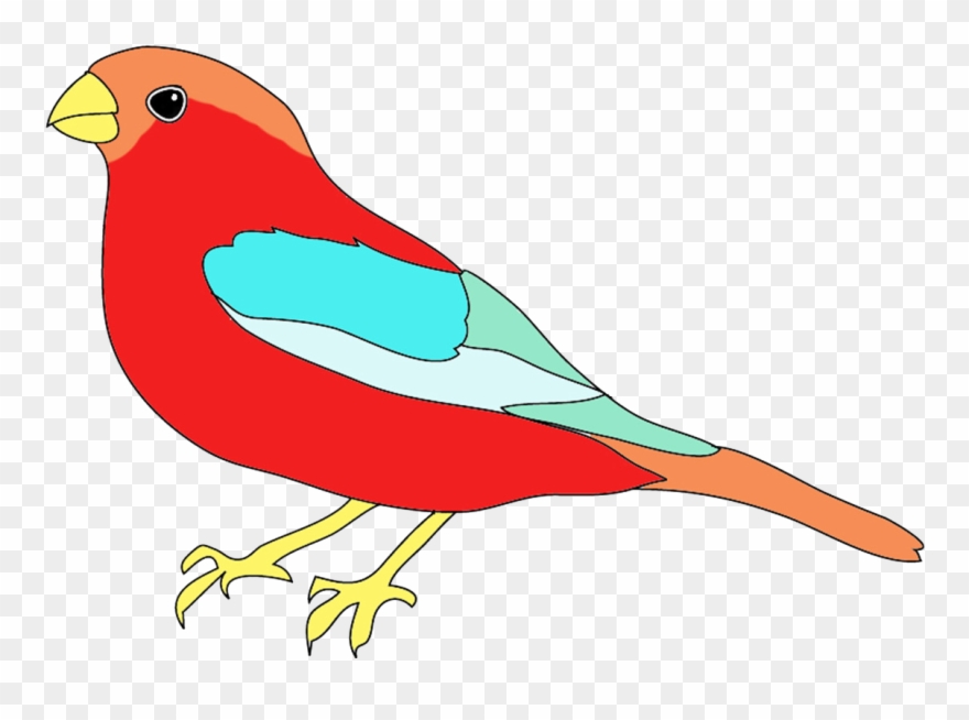 880x654 Banner Free Stock Bird For Drawing At Getdrawings