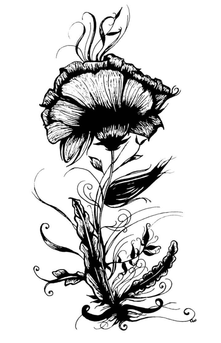 718x1113 Moon Drawing Victorian For Free Download