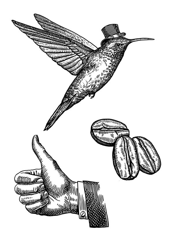 600x852 Illustrations For A Restaurant Foodbox On Behance