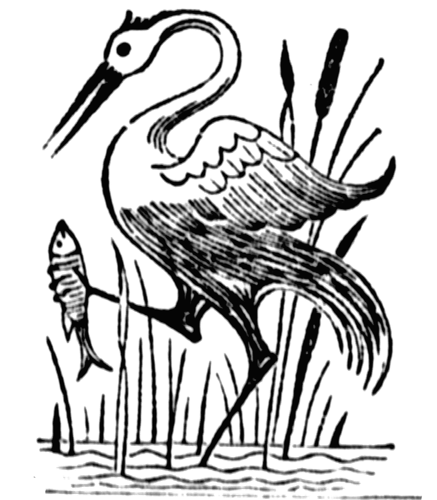 896x1024 Viking Drawing Fish For Free Download