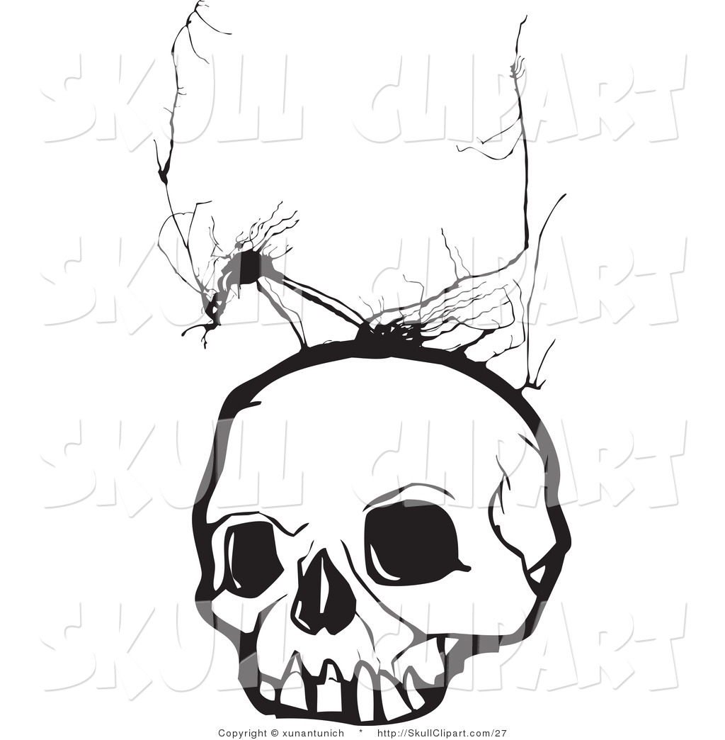 1024x1044 Viking Skull Clip Art