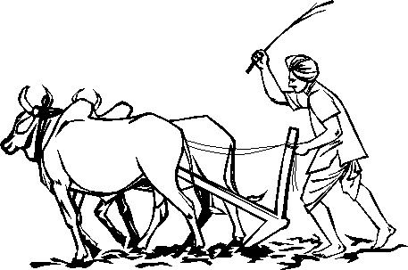 457x303 Indian Farmer Clipart Images