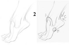 236x153 Best Anatomy Images Drawing Hands, Anatomy Reference, Hand Drawn
