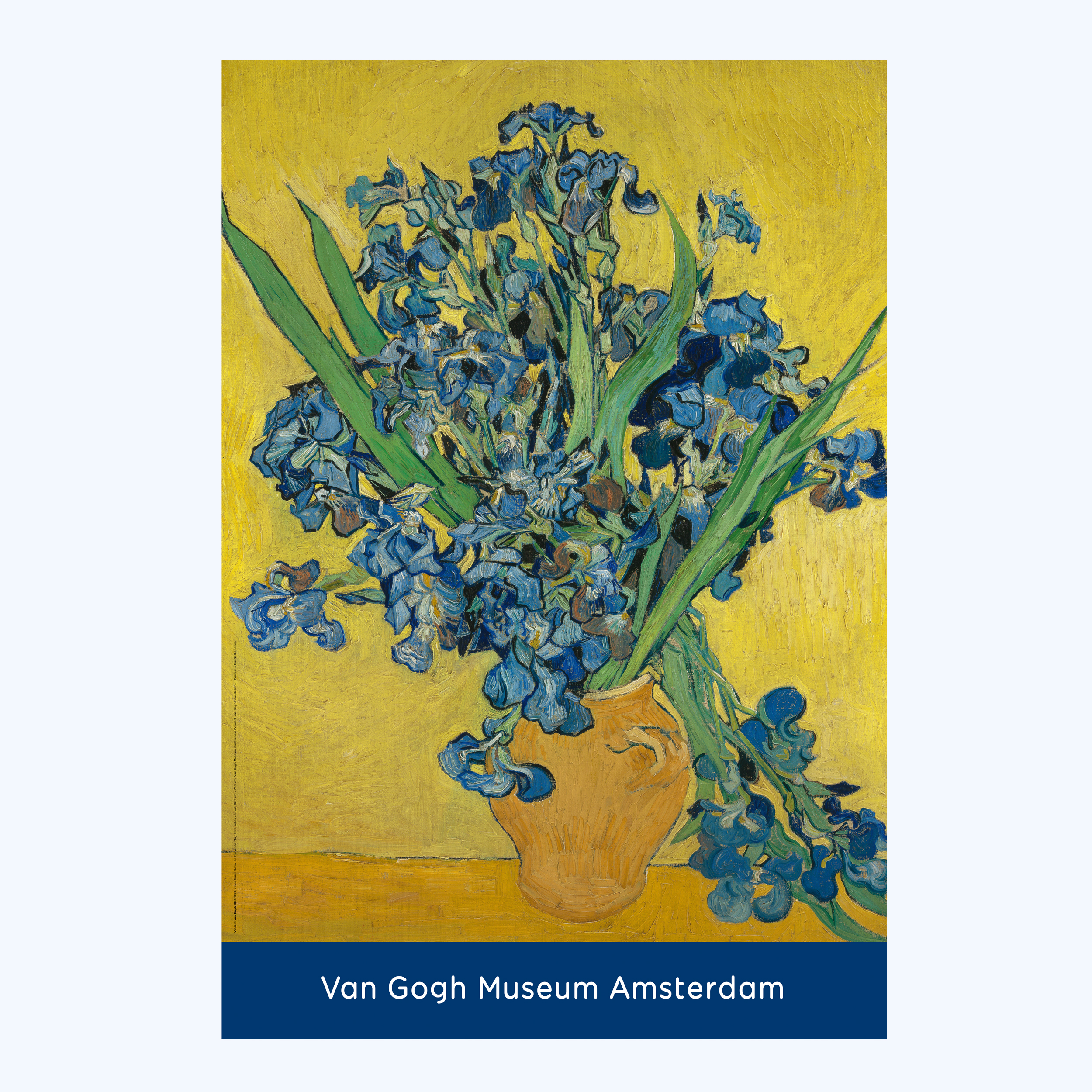 2500x2500 van gogh poster irises
