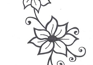 300x210 Drawing Of A Vine Vine Drawing Designs At Getdrawings Free