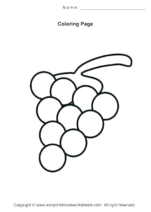 520x730 Vine Coloring Pages Honey Suckle And Branches Line Drawing