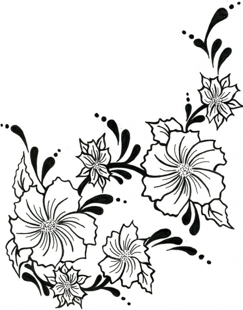803x1024 Flowers On Vines Drawing