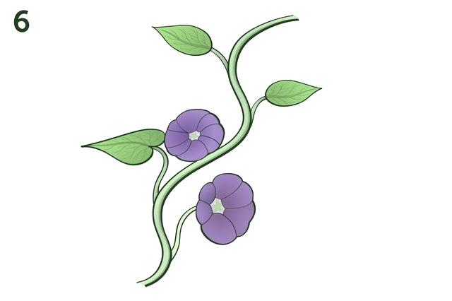 640x426 How To Draw A Vine Collection Of Tangled Vines High Quality