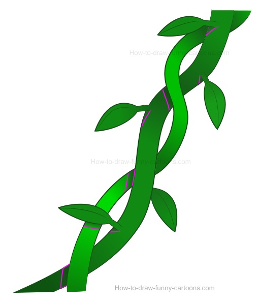 510x600 How To Draw Vines