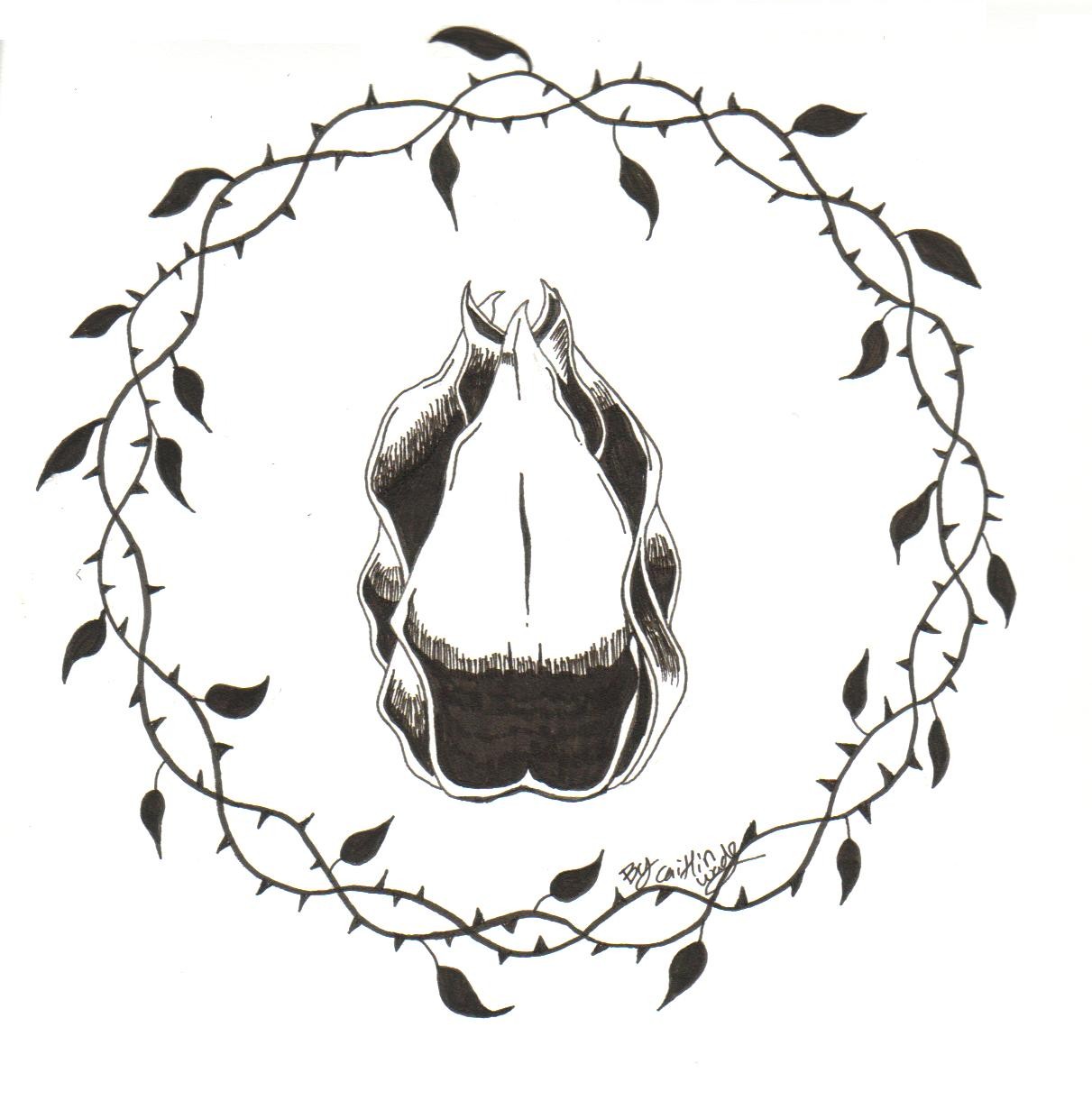 1211x1231 At Vines Drawing