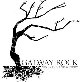 320x320 galway rock vineyard winery upper hudson valley wine trail