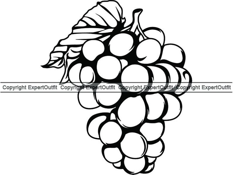 794x597 grape vine wine winery vineyard wineglass glass label drink etsy