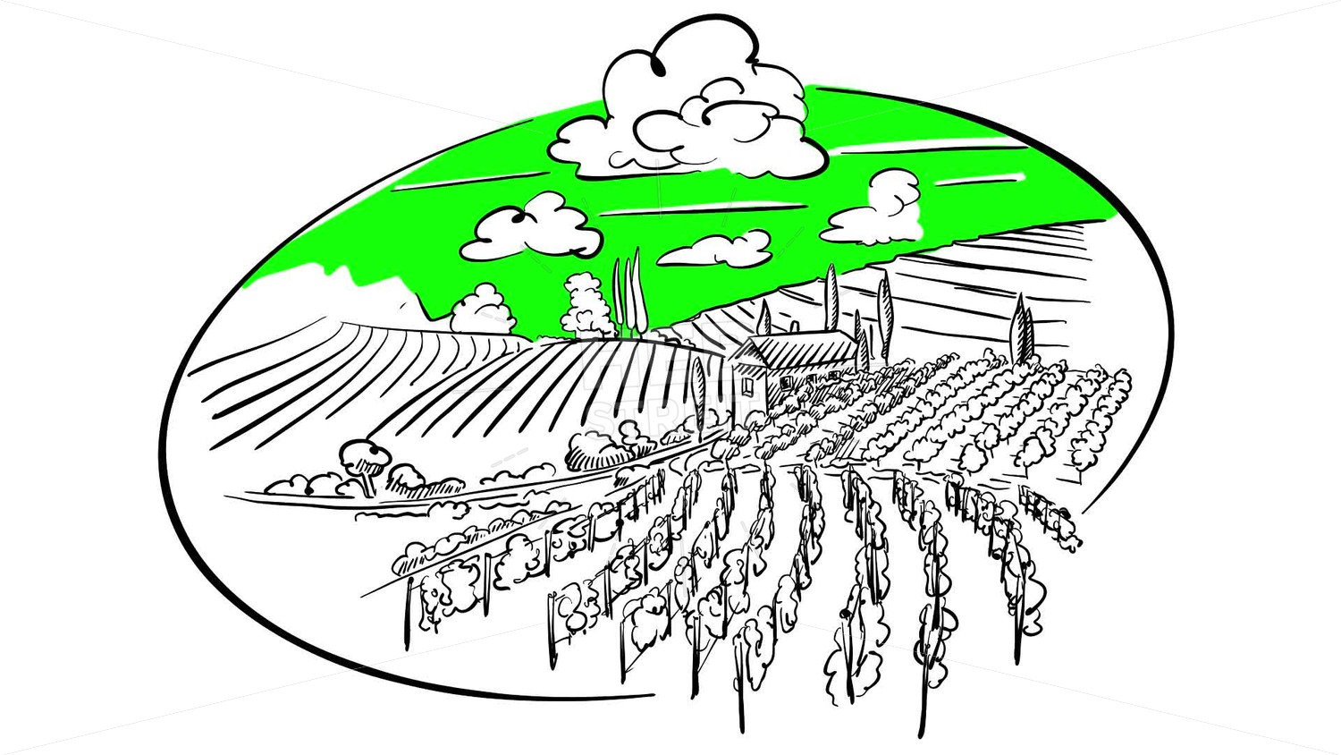 1500x844 Vineyard In Circle Animation Hebstreits Sketches