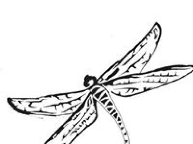 640x480 Visit Dragonfly Hill Vineyard In Victoria, British Columbia