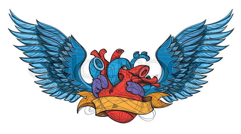800x445 Anatomical Heart With Wings Tattoo Stock Vector Colourbox