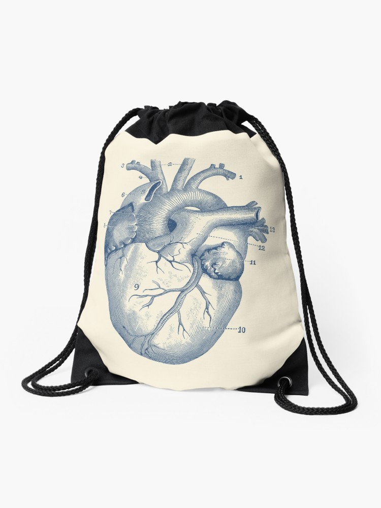 750x1000 Human Heart Diagram