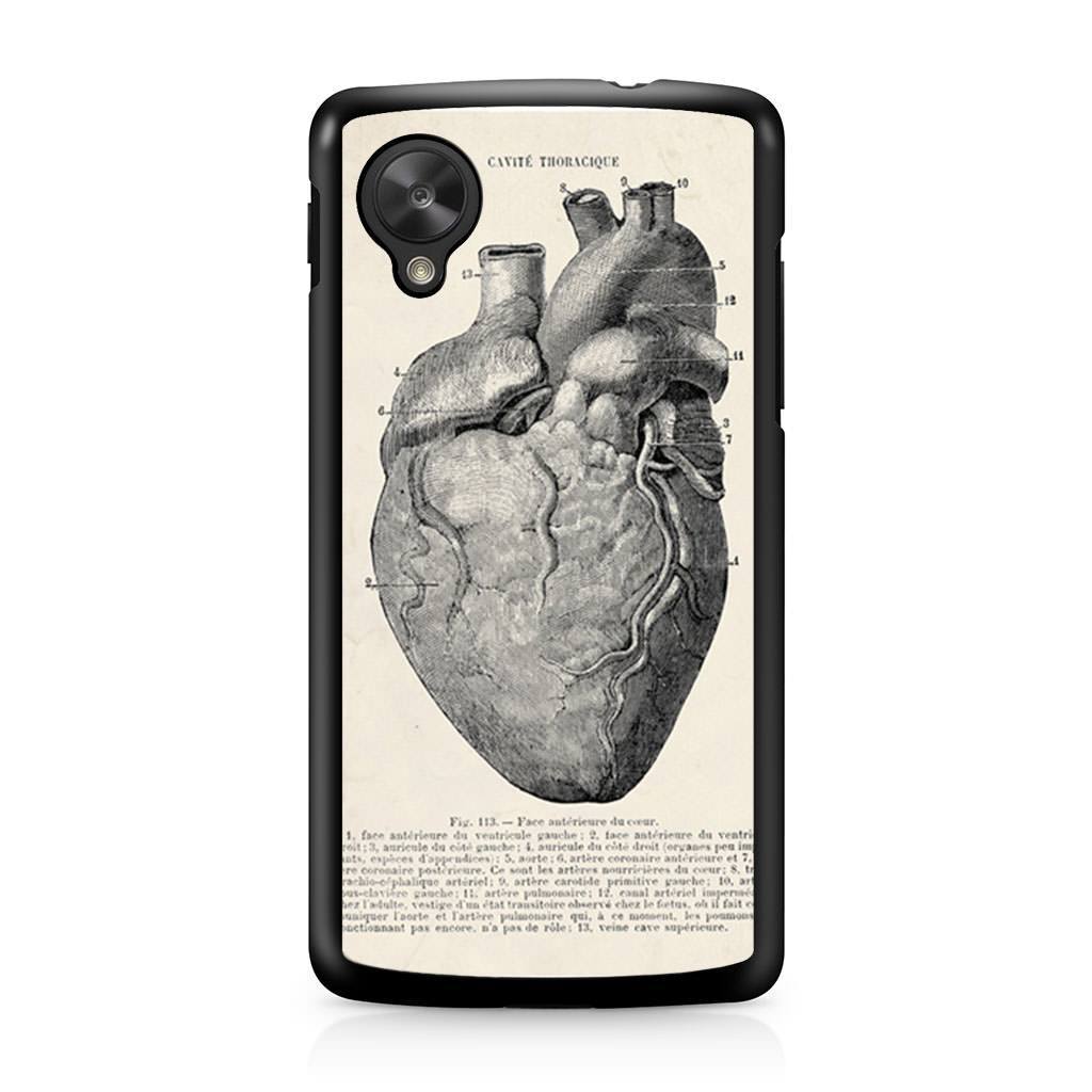 1024x1024 vintage medical anatomical heart diagram nexus case case persona