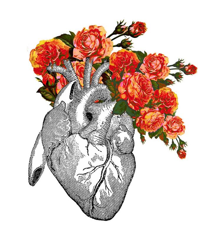 713x793 El Sleeve Tattoo Heart Art, Anatomy Art Y Rose Art