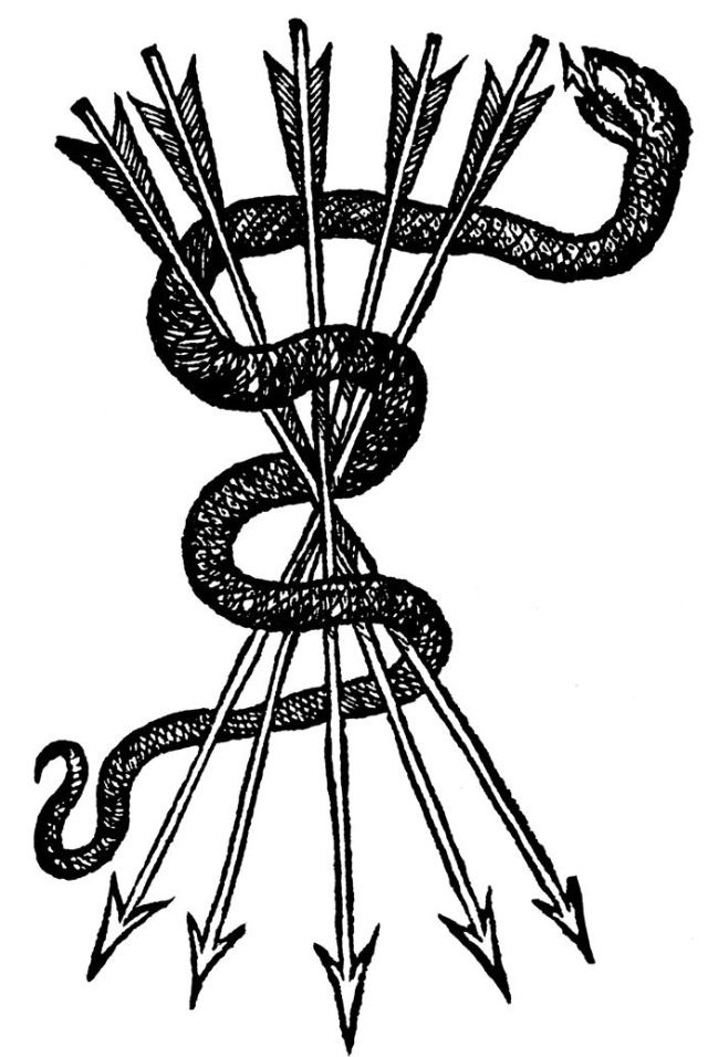 640x956 Tattoo Idea Snake Around Arrow