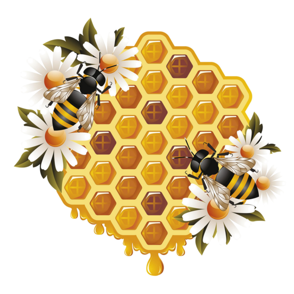 600x600 Honey Clipart Vintage Honey For Free Download And Use