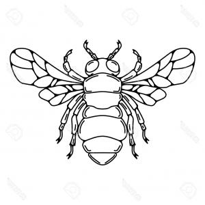 300x300 Stock Illustration Bee Honey Label In Vintage Sohadacouri