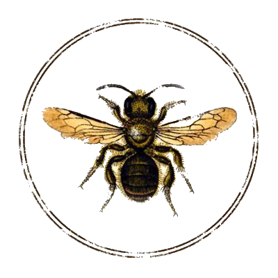 400x400 Transparent Bee