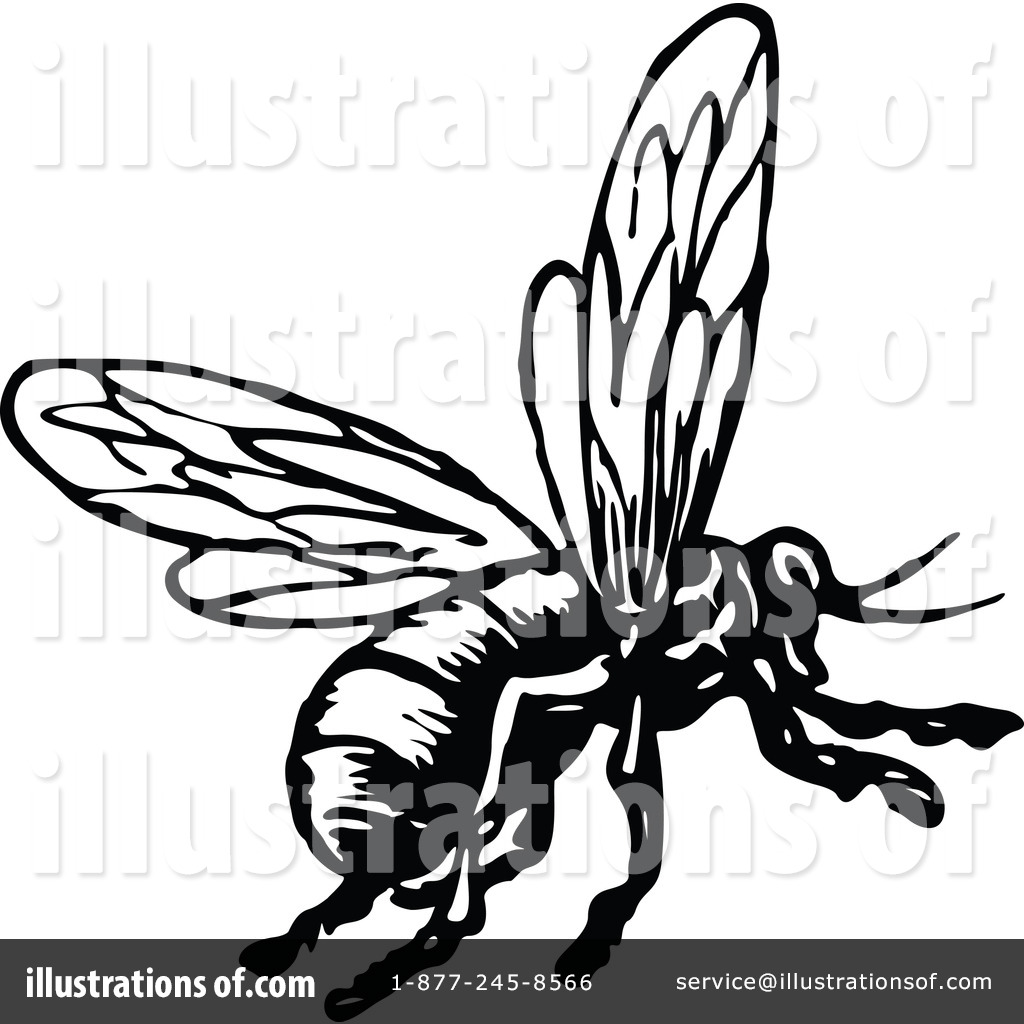 1024x1024 Bee Clipart