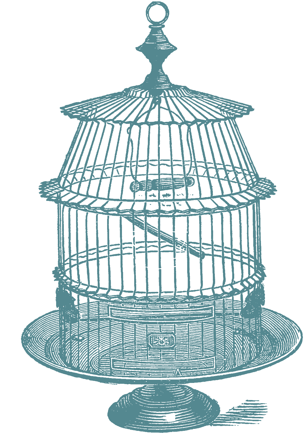 1067x1521 Collection Of Free Birdcage Drawing Vintage Download On Ui Ex
