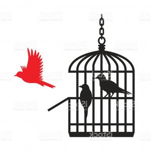 300x300 Doodle Vintage Of Birdcage Gm Sohadacouri