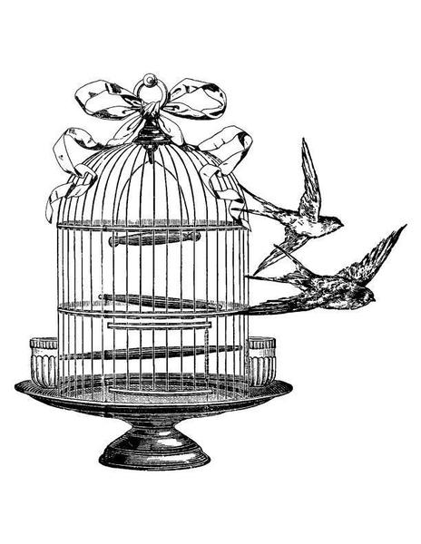 Vintage Bird Cage Drawing | Free download on ClipArtMag