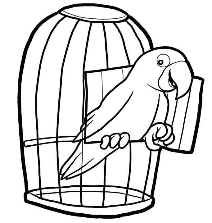 683x718 Vintage White Bird Cages For Sale Cage Silhouette At Free Personal