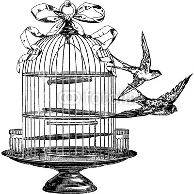 400x400 Vintage Image Swallow, Birdcage Buy Photos Ap Images Detailview