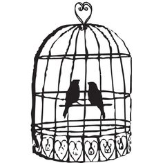 236x236 Cage Bird Clipart, Explore Pictures