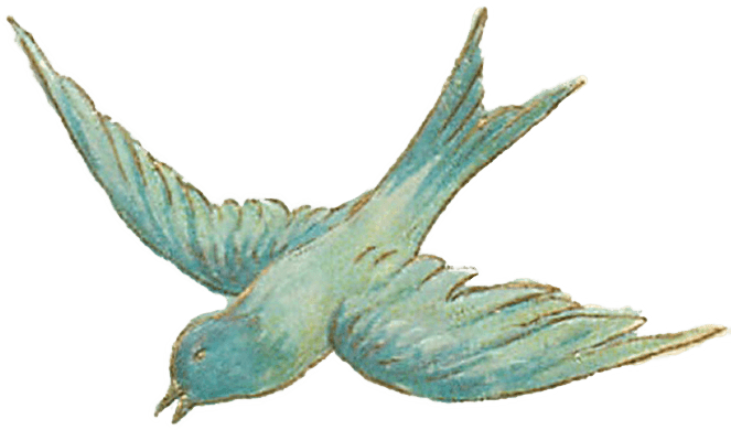 663x390 Collection Of Free Birds Drawing Sketch Download On Ui Ex