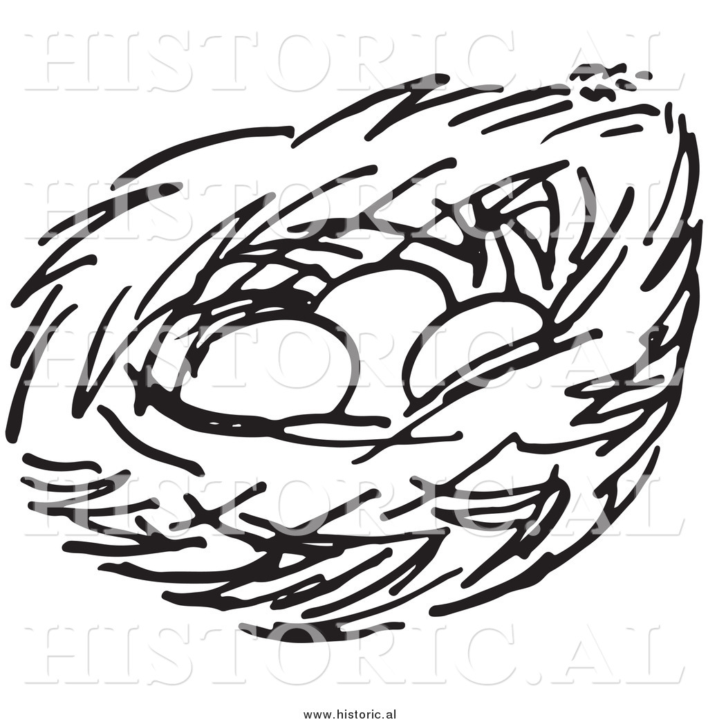 1024x1044 Nest Drawing Clipart Clip Art Images