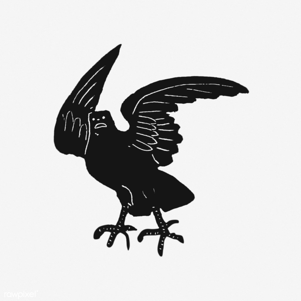 1024x1023 The World's Best Photos Of Crow And Drawing