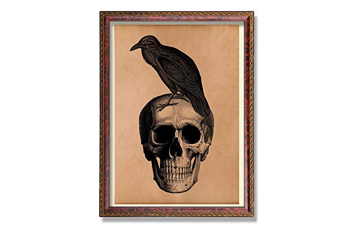 700x466 Raven Print Vintage Bird Decor Skull Illustration