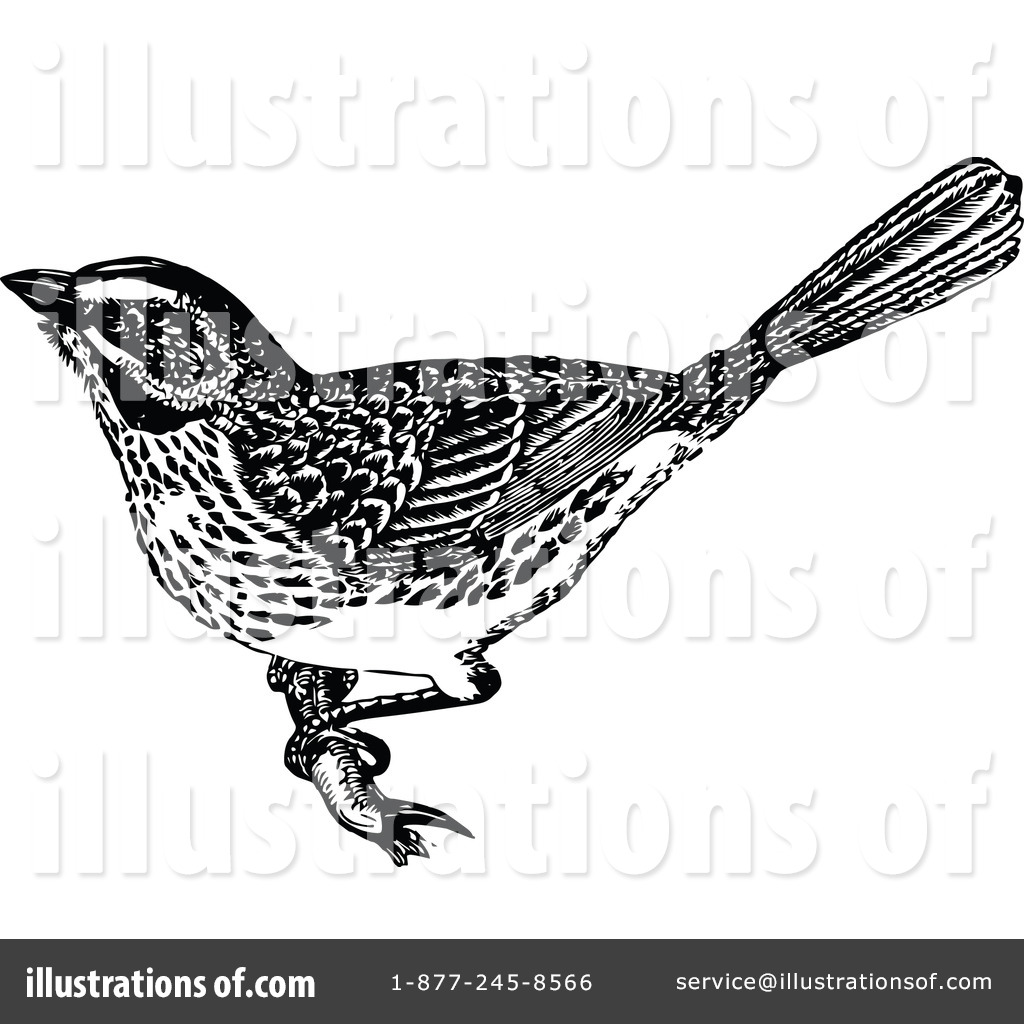 1024x1024 Bird Clipart