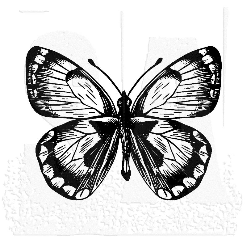 800x800 tim holtz wood mounted stamp