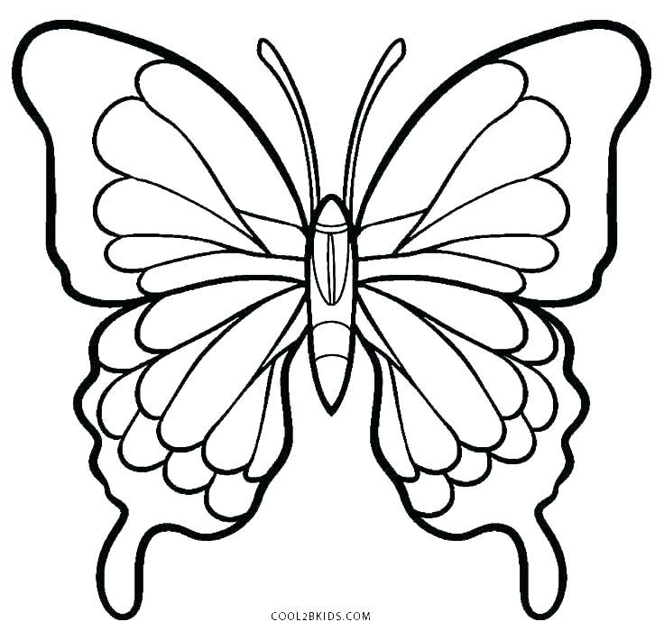 736x700 Free Butterfly Coloring Pages For Toddlers