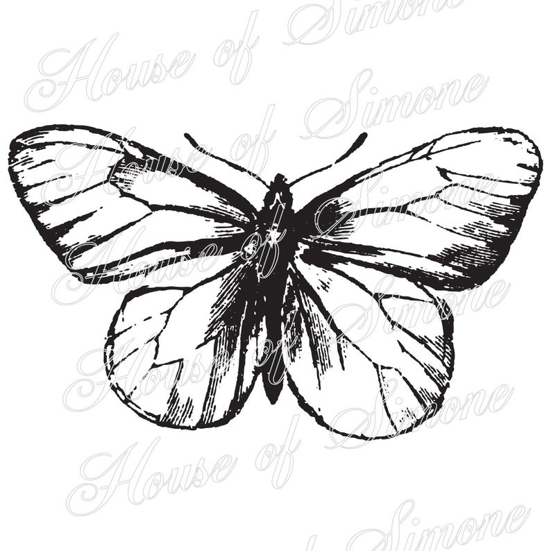 794x794 Butterfly Moth Insect Wings Vintage Download Graphic Image Art Etsy