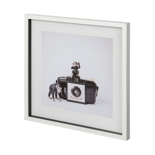 501x501 Monkeys Vintage Camera
