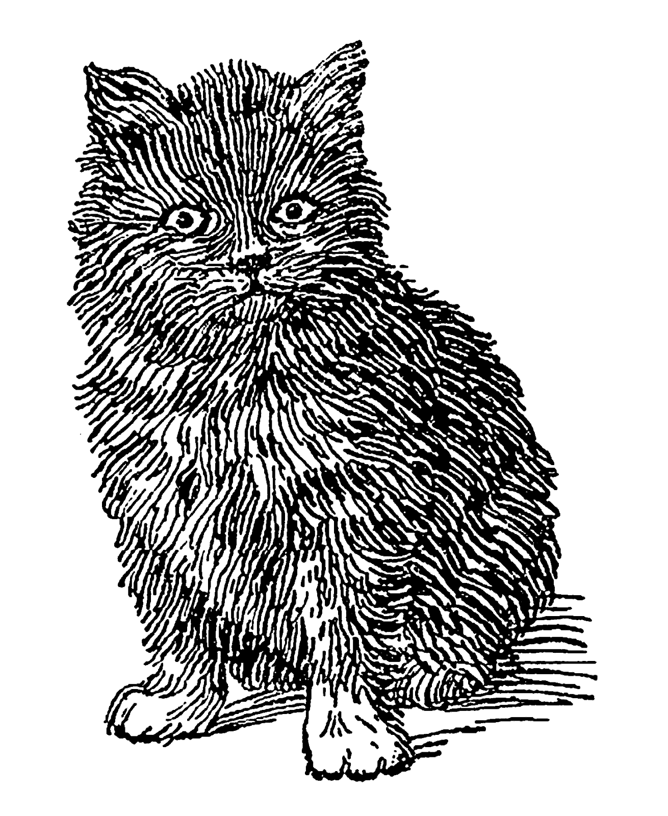 1310x1600 Digital Stamp Design Printable Vintage Kitten Artwork Clip Art