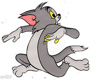 300x263 tom jerry cat vintage prepasted wall border cut out