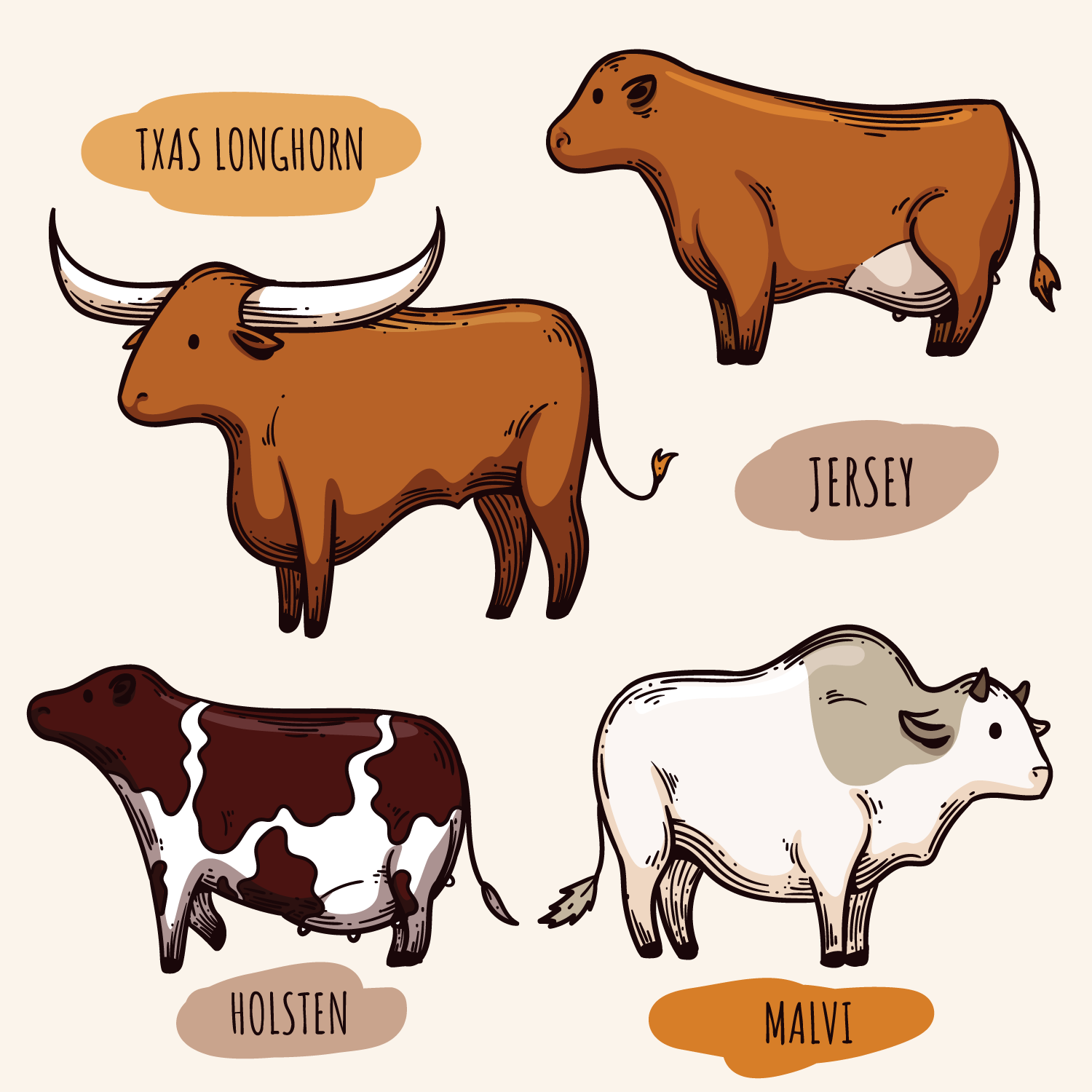 1500x1500 Cattle Vectors